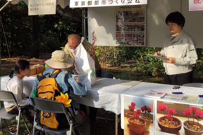 緑化相談の受付をしています