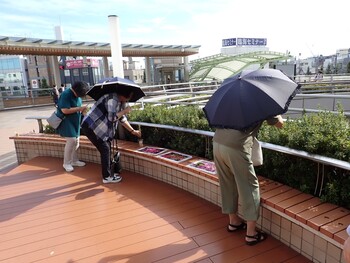 挿し木を体験されるお客様の写真